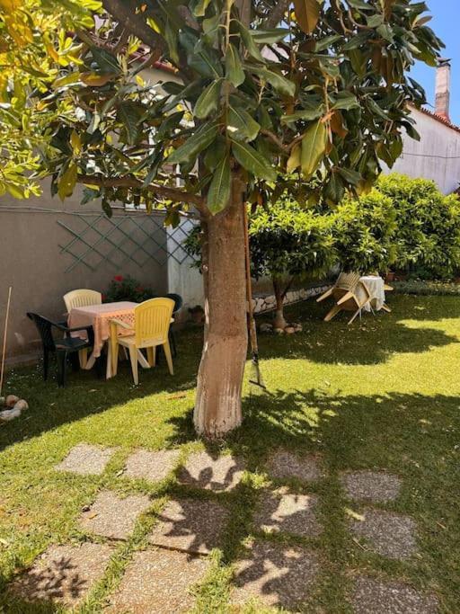 Family Woodland Oasis Vipgreece Kírinthos