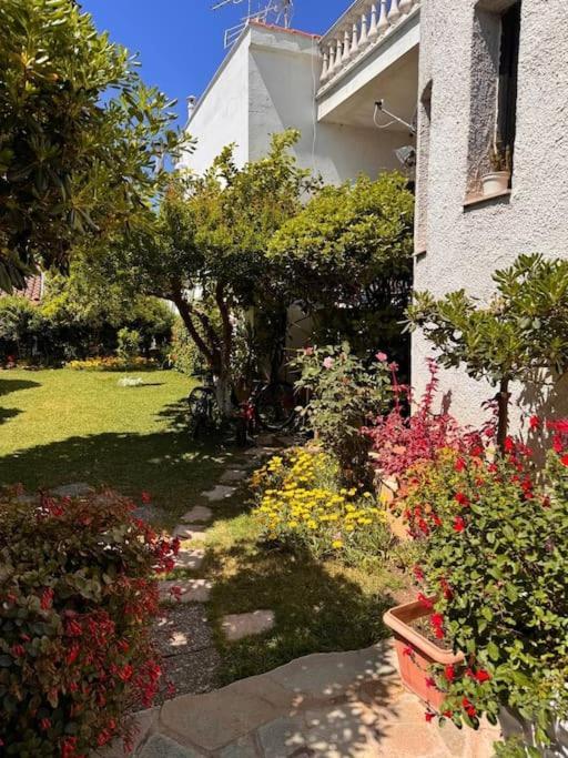 Apartment Family Woodland Oasis Vipgreece